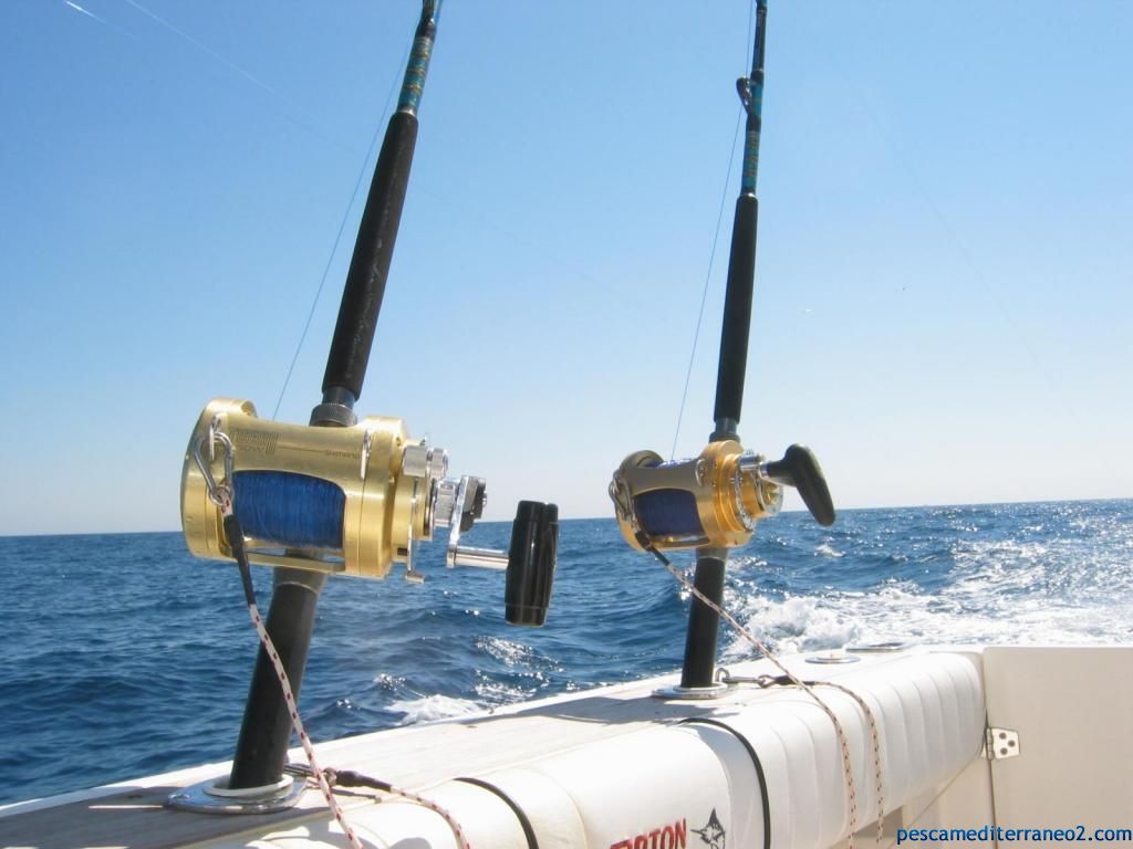 Pesca Surfcasting Spinning: Como elegir una caña de surfcasting para el  Mediterráneo
